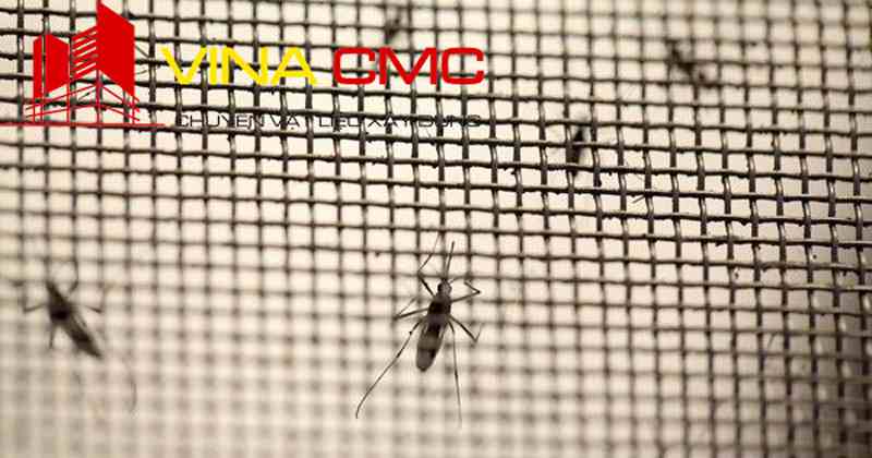 Những điều cần biết về lưới chắn côn trùng