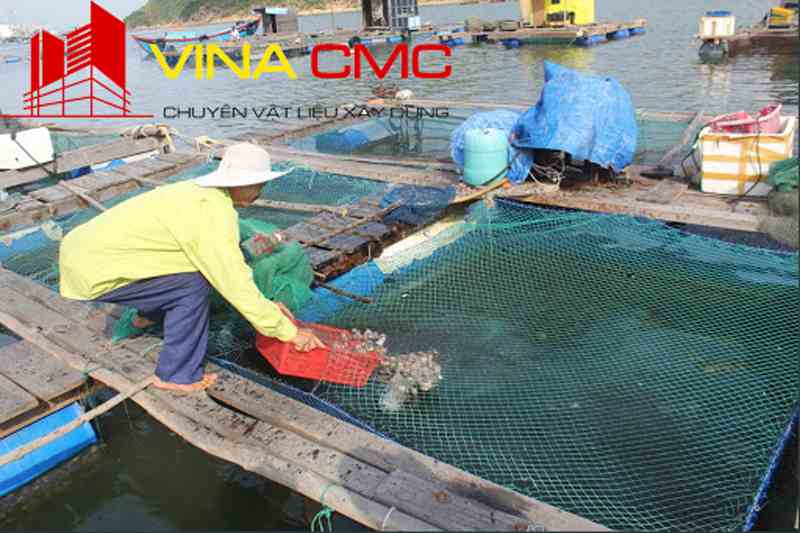 Những điều cần biết về lưới nuôi trồng thủy hải sản