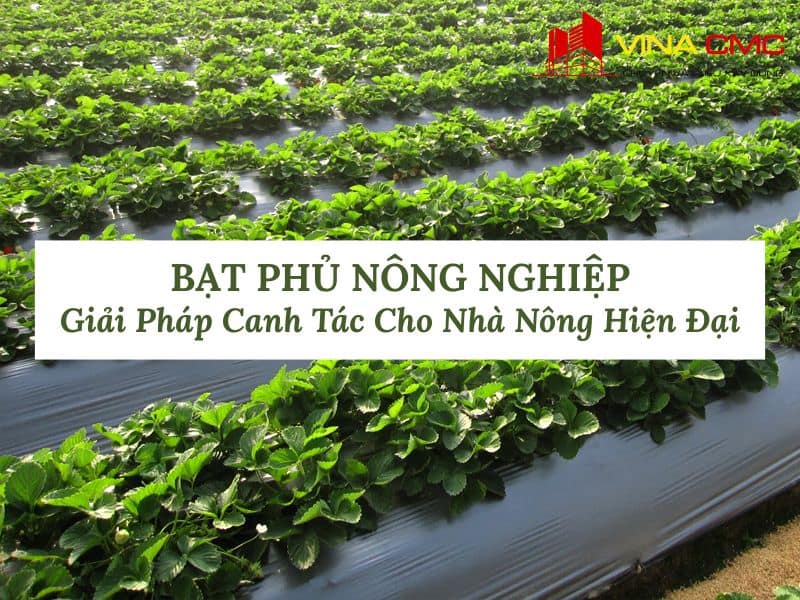 Bạt Phủ Nông Nghiệp - Giải Pháp Canh Tác Cho Nhà Nông Hiện Đại
