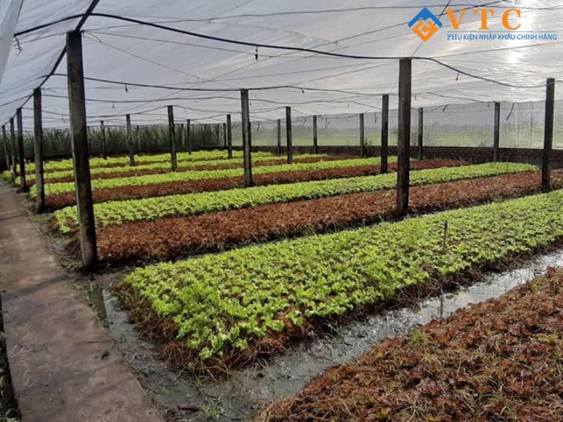 Bạt HDPE - Giải Pháp Chống Thấm Hiện Đại, Che Phủ Hiệu Quả 7 Giới thiệu về lưới chống côn trùng nông nghiệp