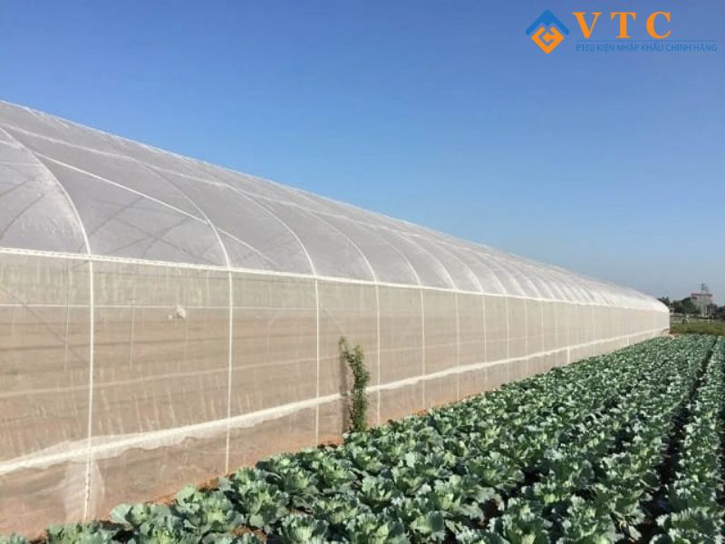 Bạt HDPE - Giải Pháp Chống Thấm Hiện Đại, Che Phủ Hiệu Quả 16 Mua lưới chống côn trùng nông nghiệp ở đâu uy tín?