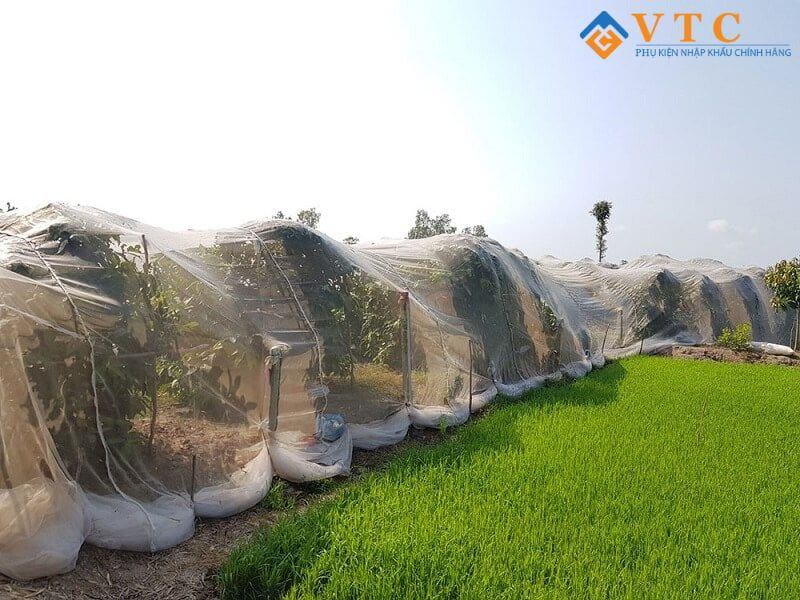 Bạt HDPE - Giải Pháp Chống Thấm Hiện Đại, Che Phủ Hiệu Quả 8 Công dụng của lưới chống côn trùng nông nghiệp