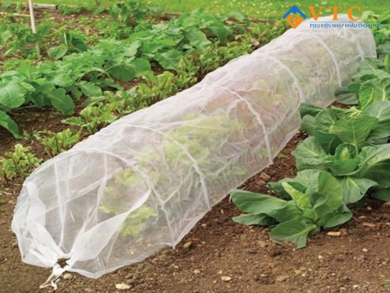 Bạt HDPE - Giải Pháp Chống Thấm Hiện Đại, Che Phủ Hiệu Quả 9 Công dụng của lưới chống côn trùng nông nghiệp