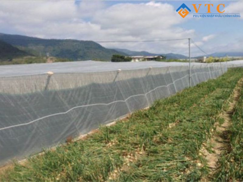 Bạt HDPE - Giải Pháp Chống Thấm Hiện Đại, Che Phủ Hiệu Quả 12 Kích thước, quy cách lưới chống côn trùng nông nghiệp