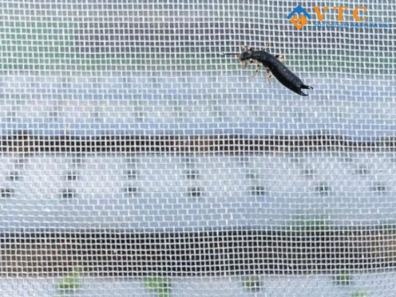 Bạt HDPE - Giải Pháp Chống Thấm Hiện Đại, Che Phủ Hiệu Quả 13 Kích thước, quy cách lưới chống côn trùng nông nghiệp