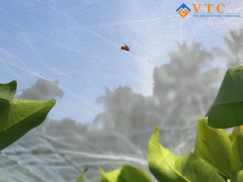 Bạt HDPE - Giải Pháp Chống Thấm Hiện Đại, Che Phủ Hiệu Quả 14 Cách chọn lưới chống côn trùng nông nghiệp phù hợp nhu cầu thực tế