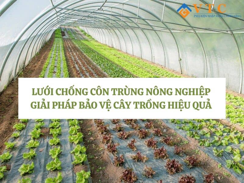 Lưới Chống Côn Trùng Nông Nghiệp - Bảo Vệ Cây Trồng Hiệu Quả